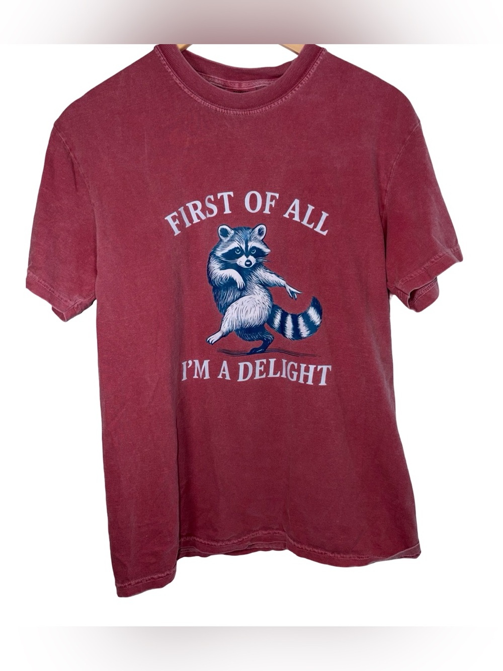 Comfort Colors rusty red short sleeve "first of all im a delight"raccoon tee